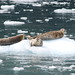 William Seals Photo 10