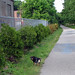 Brenda Greenway Photo 8
