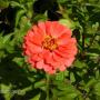 Linda Culp Photo 18
