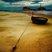 Thuan Phan Photo 9