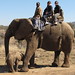 Kimberly Washburn Photo 9