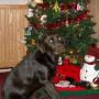 Terri Fields Photo 24