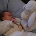 Bea Kelly Photo 12