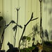 Tammy Mckay Photo 6