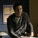 Stephen Colletti Photo 12
