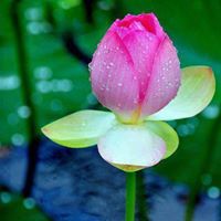 Asma Khanam Photo 11