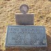 Henry Newton Photo 5