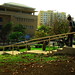 Alfred Deleon Photo 2