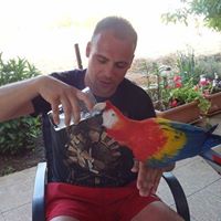 Petar Stefanovic Photo 8