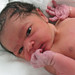 Vance Levy Photo 4