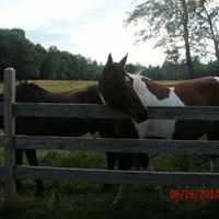 Diane Cunningham Photo 29
