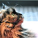 Susan Confer Photo 4