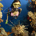 Debbie Sites Photo 3