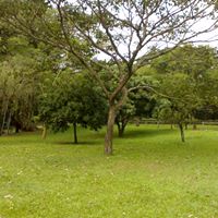 Ricardo Tuma Photo 6