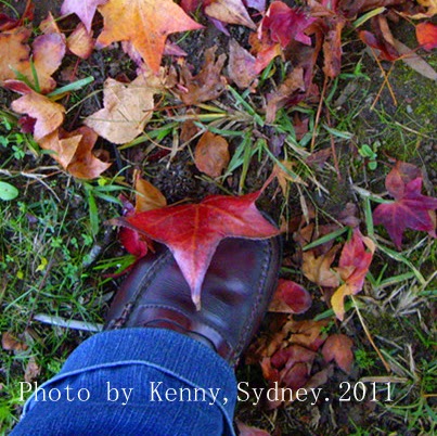 Kenny Wu Photo 41