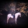 Sharon Loveless Photo 20