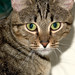 Wilma Brown Photo 2