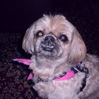 Janis Bradshaw Photo 5