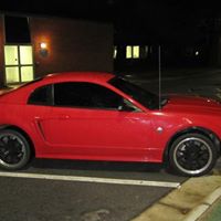 Rj Holland Photo 11