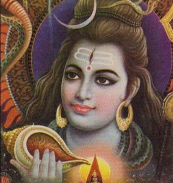 Puja Sawant Photo 14