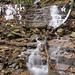 Phil Shaver Photo 8