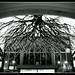 Crystal Smithwick Photo 8