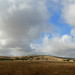 Elliot Hill Photo 9