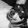Lilly Perkins Photo 6