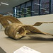 Richard Young Photo 8