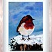 Robin Phillip Photo 9