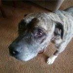Lisa Gruwell Photo 8