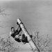 James Harness Photo 6