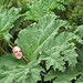 Vicki Head Photo 7