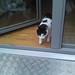 Toby Phillips Photo 11