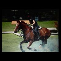 Stephanie Sylvestre Photo 18