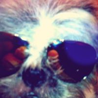 Harry Lam Photo 17
