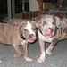 Merle Miller Photo 7
