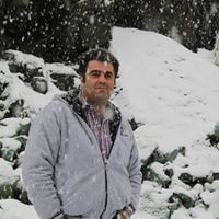 Mehdi Ashrafi Photo 6