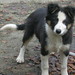 Drew Mayo Photo 9