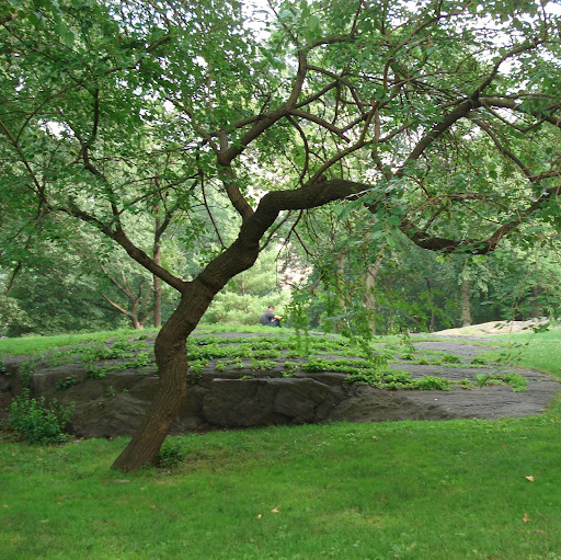 Nancy Brooks Photo 38