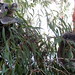 Casey Miles Photo 8