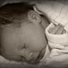 Sophia Beck Photo 8