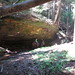 Beth Hock Photo 7