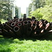 Steve Tobin Photo 9