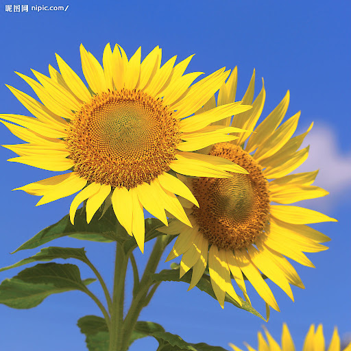 Shuo Chen Photo 28