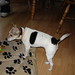 Tina Russell Photo 4