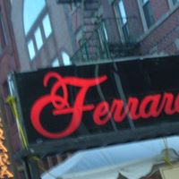 Vincent Ferrara Photo 18