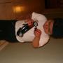 Andres Payan Photo 16