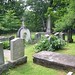 Jefferson Graves Photo 8