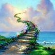 Noha Ragab Photo 5